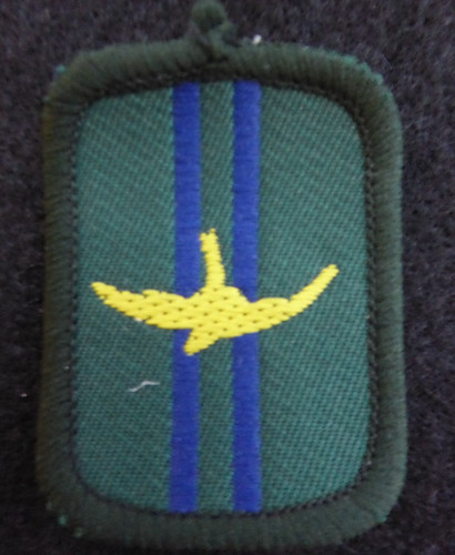 Vintage scout patrol badge - scout,