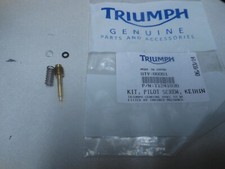 NOS Triumph Pilot Screw Kit