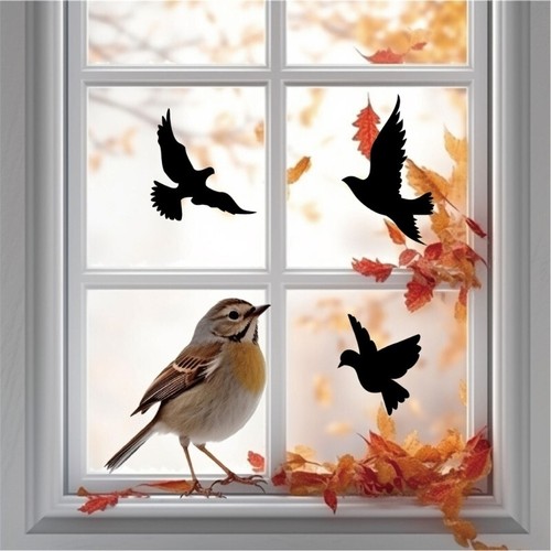 Anti collision glass window - anti-collision,