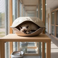 Cat Kitten Pet House Bed Dog