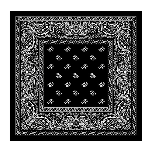 Bandana paisley neck - bandana,