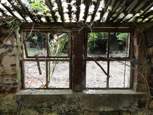 Photo view into the yard - into, at