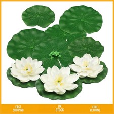 Vibrant Floating Lotus Flowers