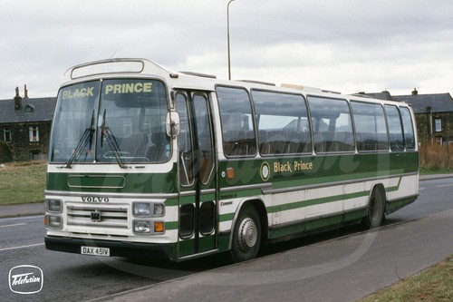 Coach photo black prince - photo,