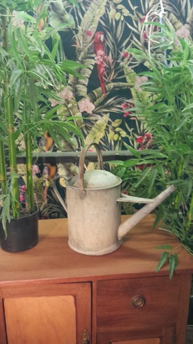 Vintage galvanised gallon - galvanised, 2