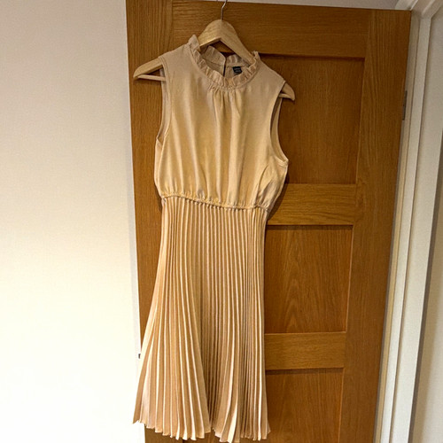 Shein petite apricot - s, colour