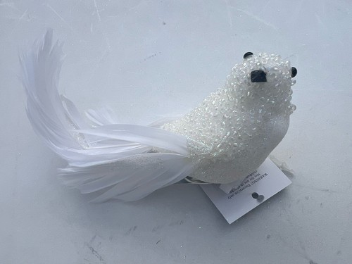 Fairy dove bird christmas - dove,