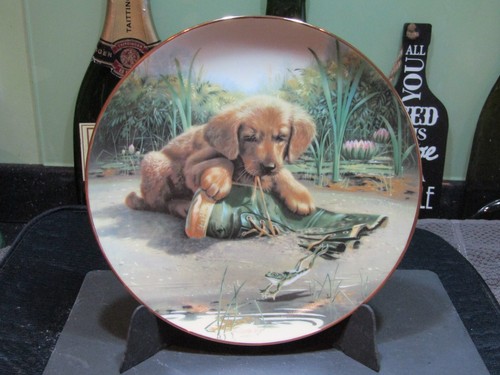 Collectors plate catch - plate,