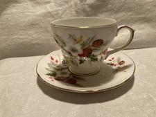 DUCHESS  'Winter'  (Christmas