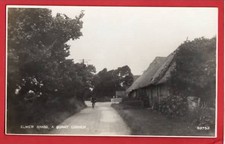 SUSSEX  ELMER SANDS  RP pu