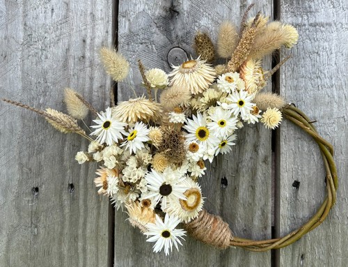 Beautiful small dried flower - dried,