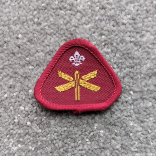 Vintage cub scout proficiency - cub,