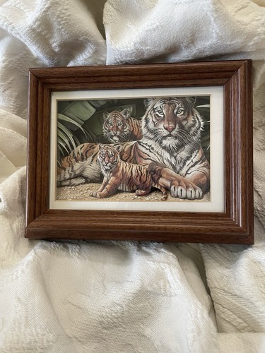 Gary ampel tiger - gary, cubs