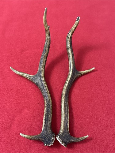 Pair red deer - of, 415g