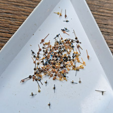 Lot of Vintage Chronograph and