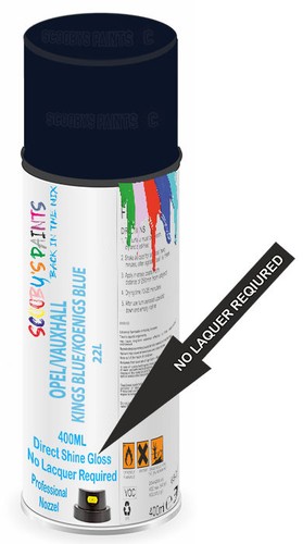 Spray paint for vauxhall - spray,