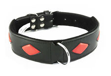 New Black Staffy Dog Collar