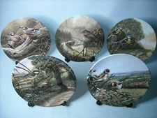 Your Choice of Plates