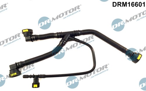 Hose crankcase ventilation - crankcase,