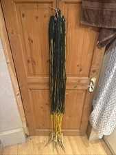 19 Ferret Nets