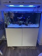 Red Sea Reefer 425XL Marine Fish Tank with Equipment,Giesemann Aurora Light LED