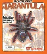 Uncover a Tarantula: Take a