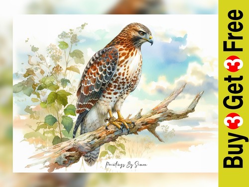 Majestic hawk - majestic, in