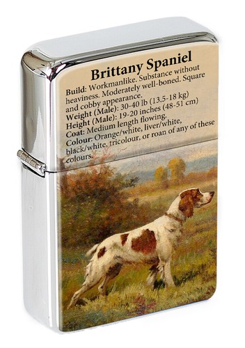 Brittany spaniel flip top - spaniel,