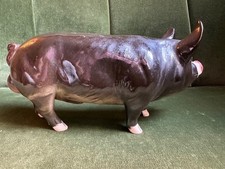Beswick Berkshire Boar Model No. 4118 Rare Breeds