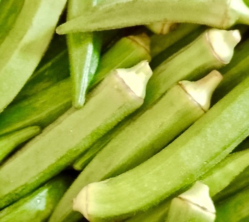 Okra clemson spineless - okra,