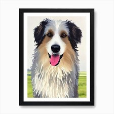 Polish lowland sheepdog - sheepdog, 2