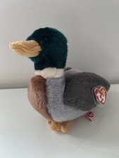 TY Beanie Buddy Jake Mallard