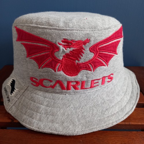 Llanelli scarlets rugby union - llanelli,