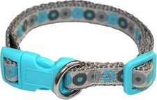 Little Rascal's Puppy Collar