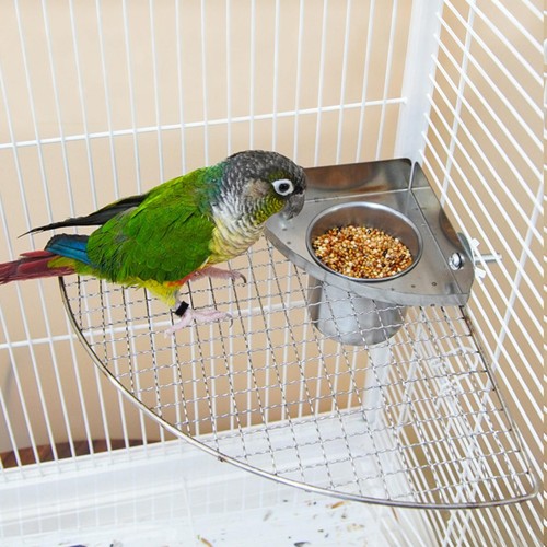 Cage bird feeder parakeet - cage,