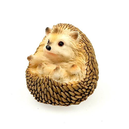 Shudehill mini hedgehog garden - shudehill,
