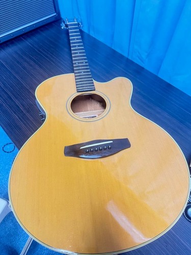 Electro acoustic guitar - electro,