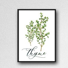 thyme herb print PICTURE