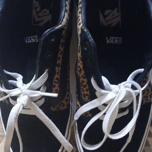 Vans low top lace - low,