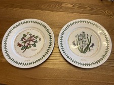 Set of 2 Portmerion Dinner
