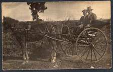 Postcard Horse Transport