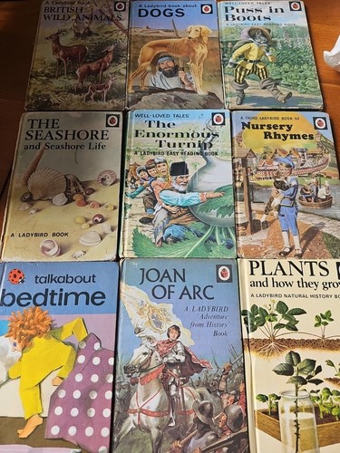 Ladybird books joblot - books,