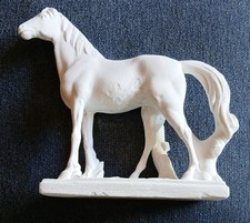 Attracive large white horse - large,