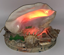 Vtg 50s pink conch - 50s,