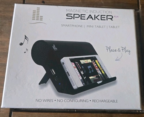 Magnetic induction speaker - induction,