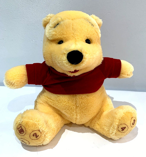 Disney winnie the pooh - the,