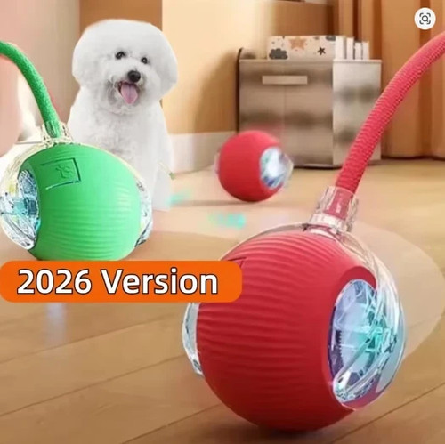 Interactive dog cat - interactive,