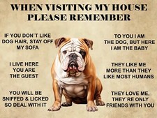 Funny  Cute Old English Bull