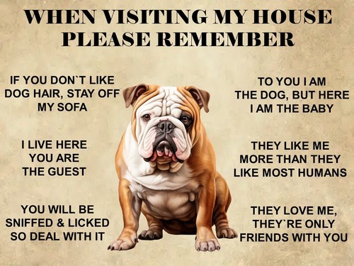 Funny cute old - funny, english