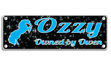 Black and Blue Horse Stable